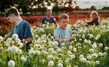 Cannes 2022 – Último día Close Cannes